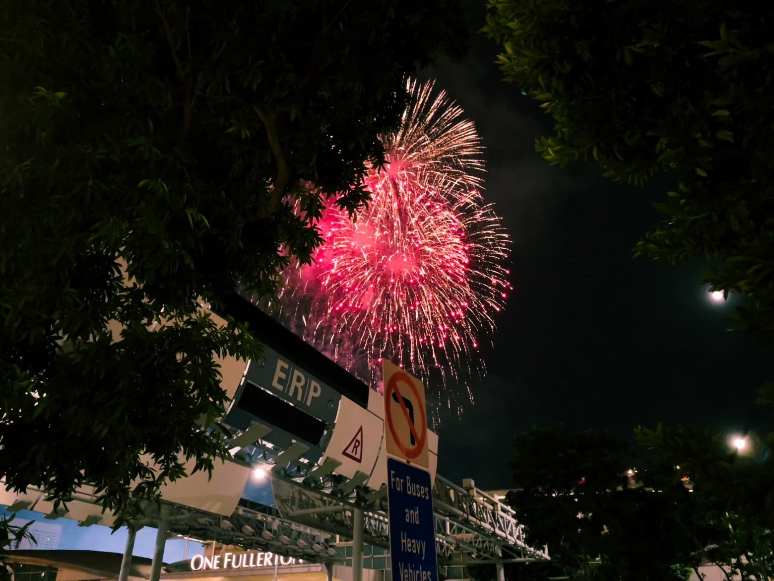 新加坡国庆日烟花表演